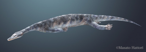 Нотозавры первыми из крупных рептилий начали осваивать моря и океаны