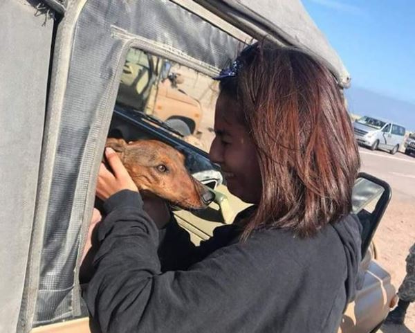 В Чили клетку с таксой выронили из самолета и собака 6 дней выживала в пустыне