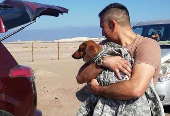 В Чили клетку с таксой выронили из самолета и собака 6 дней выживала в пустыне